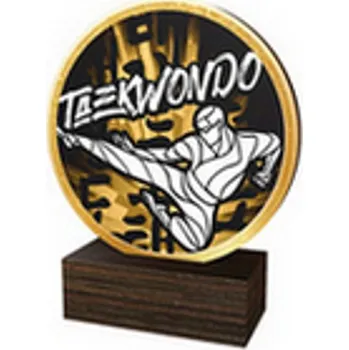 Poháry Bauer Dřevěná plaketa TFRW603 | Bojová umění