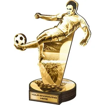 Poháry Bauer Dřevěná plaketa RWR107 | Fotbal