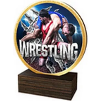 Poháry Bauer Dřevěná plaketa TFRW706 | Bojová umění