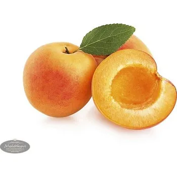 Zeelandia Ovocná náplň Meruňka Frutafill 70% kusového ovoce - 6 kg