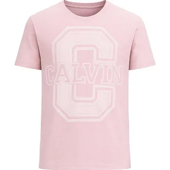 Pánské tričko Calvin Klein Pánské Tričko s Krátkým Rukávem Key Mist Logo