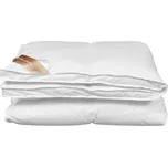 2G Lipov Luxusní kazetová péřová přikrývka Down & feather collection - 140x220 cm