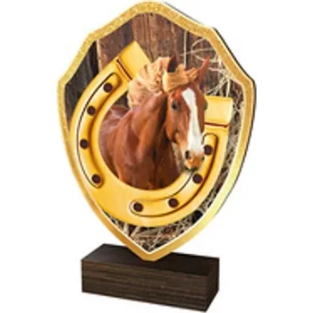 Poháry Bauer Dřevěná plaketa TFRW090 | Jezdectví