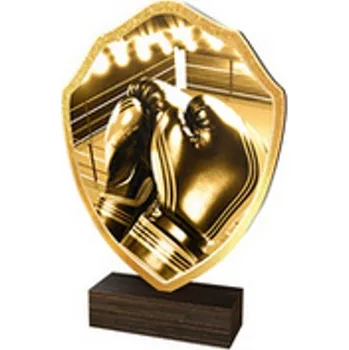 Poháry Bauer Dřevěná plaketa TFRW171 | Bojová umění