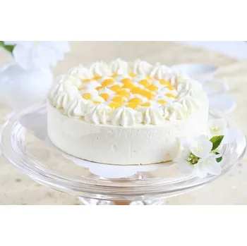 Ztužovač Zeesan jogurt 1 kg - Zeelandia