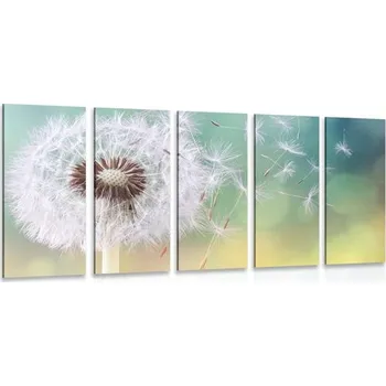 Obraz Dovido 5-dílný obraz kouzelná pampeliška
