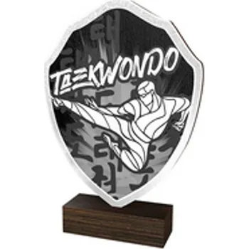 Poháry Bauer Dřevěná plaketa TFRW164 | Bojová umění