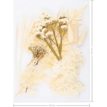 kreativní sada Sušené květiny nelisované bílé A4