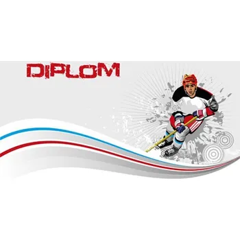 Poháry Bauer Diplom DP0027 | Hokej
