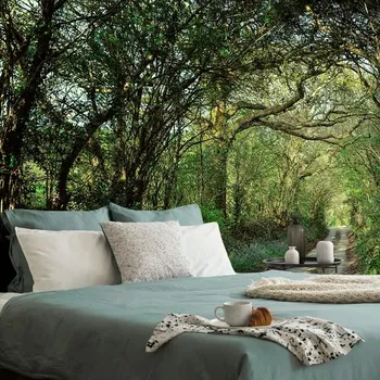 Tapeta Dovido Fototapeta pohádkový les