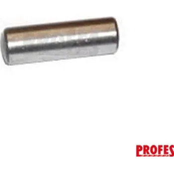 Bosch Válcový kolík 1613100020