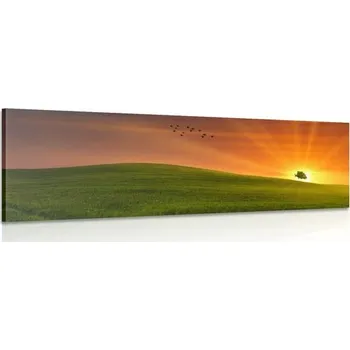 Obraz Dovido Obraz strom na louce