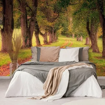 Fototapeta Dovido Fototapeta chodník podzimním lesem