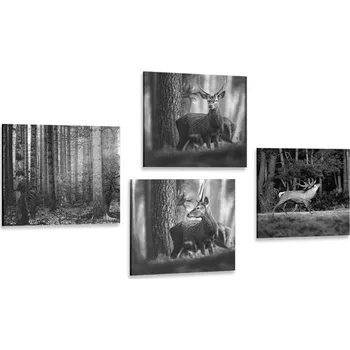 Obraz Dovido Set obrazů lesní zvířata v černobílém provedení