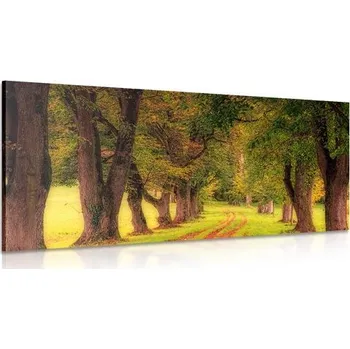 Obraz Dovido Obraz chodník podzimním lesem