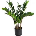 Homla Zamiokulkas 45 cm zelená 