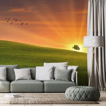 Tapeta Dovido Samolepící tapeta strom na louce