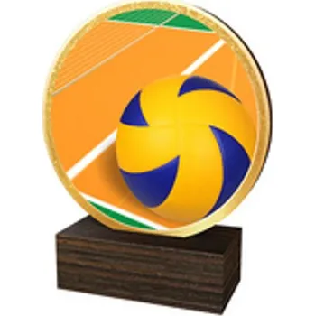 Poháry Bauer Dřevěná plaketa TFRW630 | Volejbal