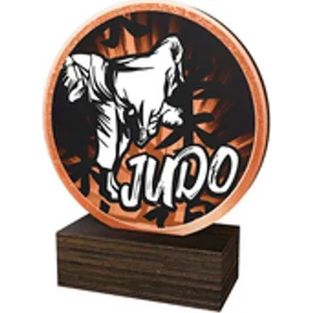 Poháry Bauer Dřevěná plaketa TFRW593 | Bojová umění