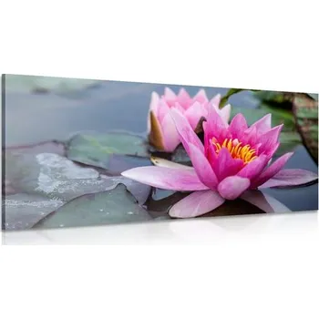 Obraz Dovido Obraz růžový lotosový květ