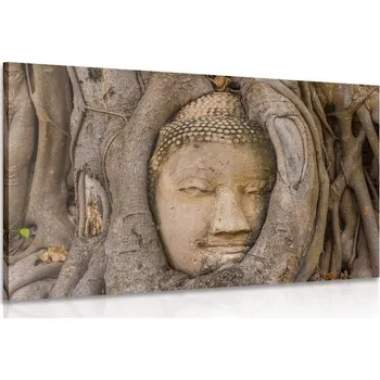 Obraz Dovido Obraz Budhů posvátný fíkovník