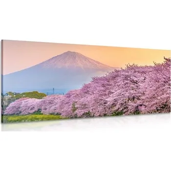 Obraz Dovido Obraz nádherné Japonsko