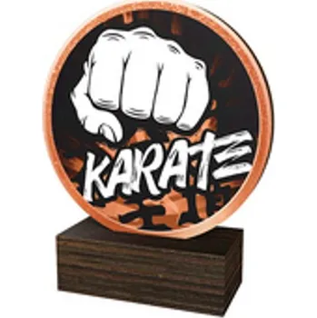 Poháry Bauer Dřevěná plaketa TFRW601 | Bojová umění