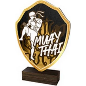 Poháry Bauer Dřevěná plaketa TFRW155 | Bojová umění