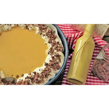 Náplň Vaječný likér termostabilní Advocaat 12 kg