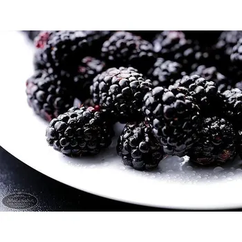 Omáčka Ostružinová ochucovací pasta - 200 g