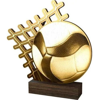 Poháry Bauer Dřevěná plaketa WF075 | Volejbal