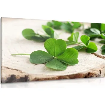 Obraz Dovido Obraz zelené čtyřlístky