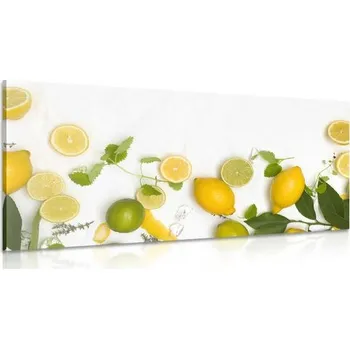 Obraz Dovido Obraz mix citrusových plodů