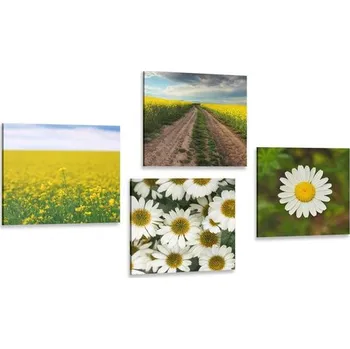 Obraz Dovido Set obrazů louka plná květin