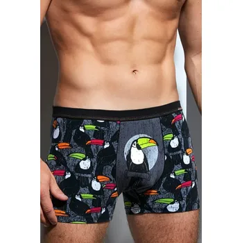 Pánské spodní prádlo Pánské boxerky 280/150 Tattoo toucan - 38