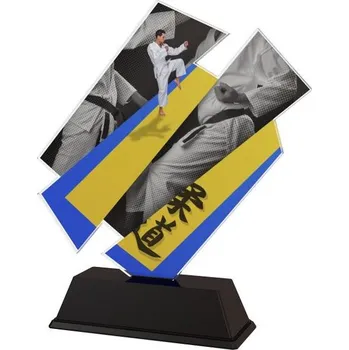 Poháry Bauer Akrylátová trofej ACZC001M32 | Bojová umění