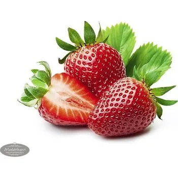 Čokoláda Zeelandia Ztužovač Zeesan jahodový 5 kg