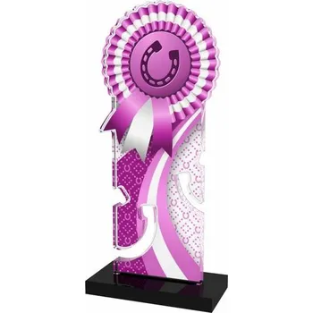 Poháry Bauer Akrylátová trofej APLAM46 | Jezdectví