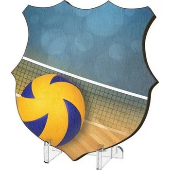 Poháry Bauer Plaketa WPP002M21 | Volejbal