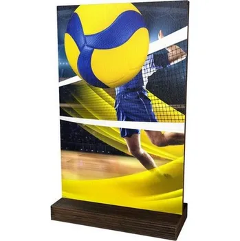 Poháry Bauer Dřevěná plaketa WPLA01M15 | Volejbal
