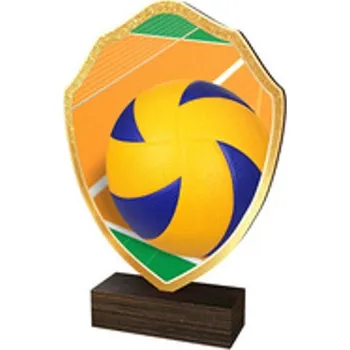 Poháry Bauer Dřevěná plaketa TFRW065 | Volejbal