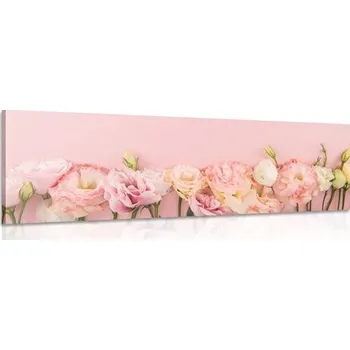 Obraz Dovido Obraz pastelové květoucí květiny