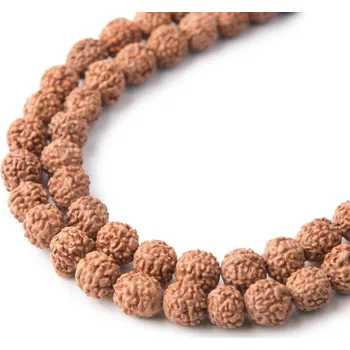 Korálek Korálek ze semínka Rudraksha přírodní nebarvený 8 mm