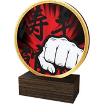 Poháry Bauer Dřevěná plaketa TFRW586 | Bojová umění