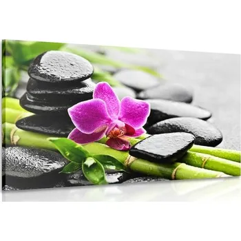 Obraz Dovido Obraz Spa zátiší s fialovou orchidejí