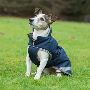 Vybavení pro koně Deka na psa Bucas Freedom 150g modrá