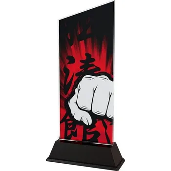 Poháry Bauer Akrylátová trofej CAS0168 | Bojová umění