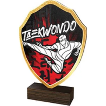 Poháry Bauer Dřevěná plaketa TFRW162 | Bojová umění