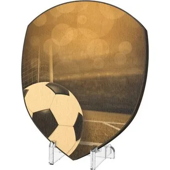 Poháry Bauer Plaketa WPPR004M06 | Fotbal