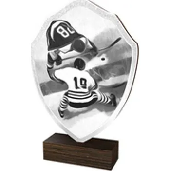 Poháry Bauer Dřevěná plaketa TFRW088 | Hokej